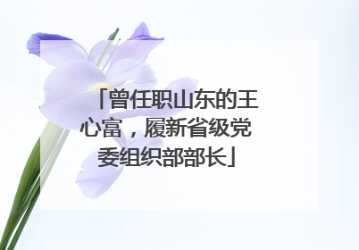 曾任职山东的王心富，履新省级党委组织部部长