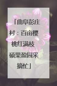 曲阜彭庄村：百亩樱桃红满枝 硕果盈园采摘忙