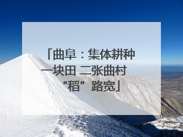 曲阜：集体耕种一块田 二张曲村“稻”路宽