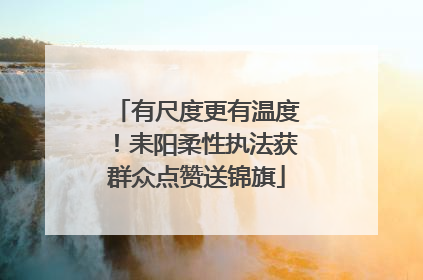 有尺度更有温度！耒阳柔性执法获群众点赞送锦旗