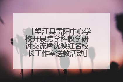 望江县雷阳中心学校开展跨学科教学研讨交流暨沈映红名校长工作室送教活动