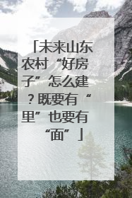 未来山东农村“好房子”怎么建？既要有“里”也要有“面”