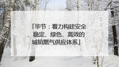 毕节：着力构建安全、稳定、绿色、高效的城镇燃气供应体系