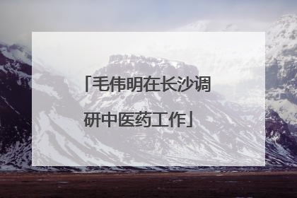 毛伟明在长沙调研中医药工作