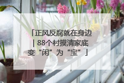 正风反腐就在身边｜88个村摸清家底变“闲”为“宝”