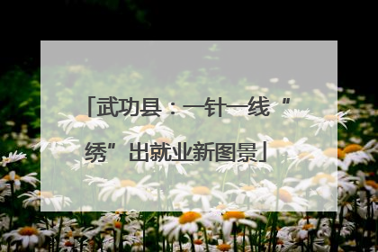 武功县：一针一线“绣”出就业新图景
