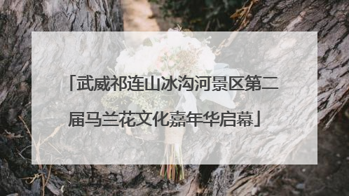 武威祁连山冰沟河景区第二届马兰花文化嘉年华启幕