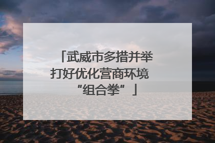 武威市多措并举打好优化营商环境“组合拳”