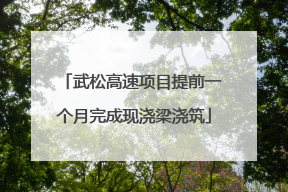 武松高速项目提前一个月完成现浇梁浇筑