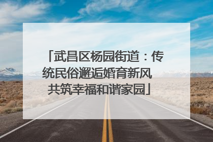 武昌区杨园街道：传统民俗邂逅婚育新风 共筑幸福和谐家园