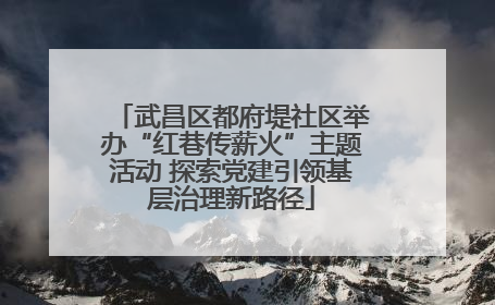 武昌区都府堤社区举办“红巷传薪火”主题活动 探索党建引领基层治理新路径