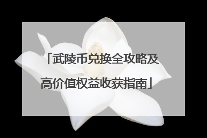 武陵币兑换全攻略及高价值权益收获指南