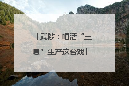 武陟：唱活“三夏”生产这台戏