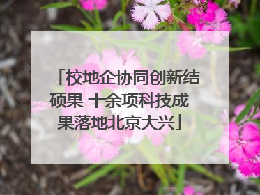 校地企协同创新结硕果 十余项科技成果落地北京大兴