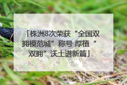 株洲8次荣获“全国双拥模范城”称号 厚植“双拥”沃土谱新篇