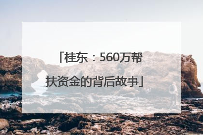 桂东：560万帮扶资金的背后故事