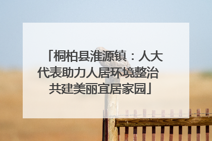 桐柏县淮源镇：人大代表助力人居环境整治 共建美丽宜居家园
