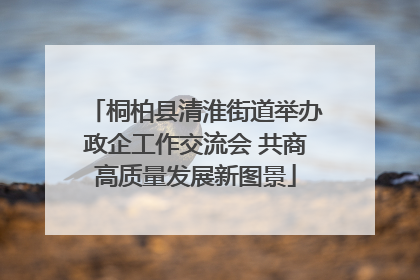 桐柏县清淮街道举办政企工作交流会 共商高质量发展新图景