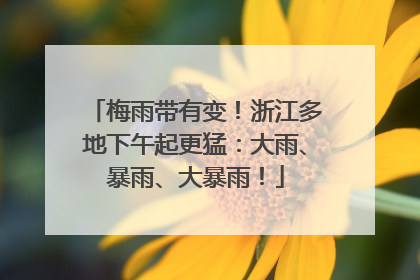 梅雨带有变！浙江多地下午起更猛：大雨、暴雨、大暴雨！