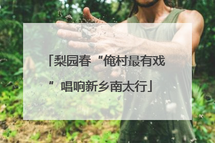 梨园春“俺村最有戏”唱响新乡南太行