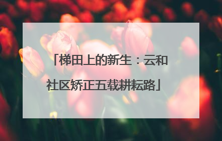 梯田上的新生：云和社区矫正五载耕耘路