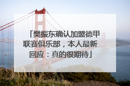 樊振东确认加盟德甲联赛俱乐部，本人最新回应：真的很期待