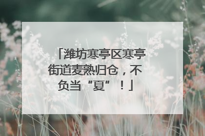 潍坊寒亭区寒亭街道麦熟归仓，不负当“夏”！