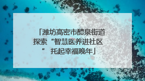 潍坊高密市醴泉街道探索“智慧医养进社区” 托起幸福晚年