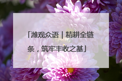 潍观众语｜精耕全链条，筑牢丰收之基