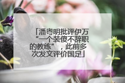 潘粤明批评伊万“一个装傻不辞职的教练”，此前多次发文评价国足