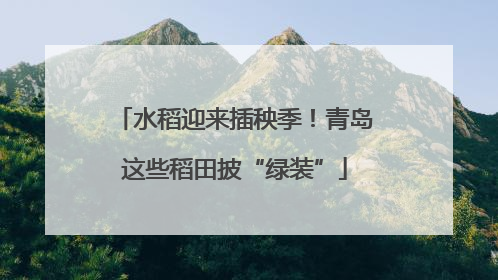 水稻迎来插秧季！青岛这些稻田披“绿装”