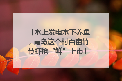 水上发电水下养鱼，青岛这个村百亩竹节虾抢“鲜”上市