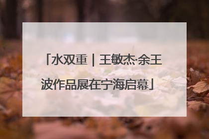 水双重｜王敏杰·余王波作品展在宁海启幕