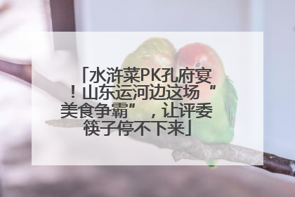水浒菜PK孔府宴！山东运河边这场“美食争霸”，让评委筷子停不下来