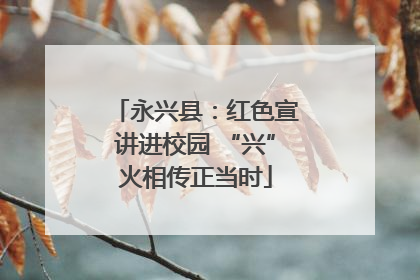 永兴县：红色宣讲进校园 “兴”火相传正当时