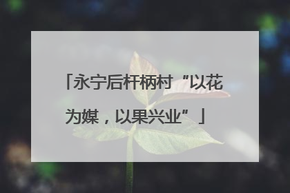 永宁后杆柄村“以花为媒，以果兴业”