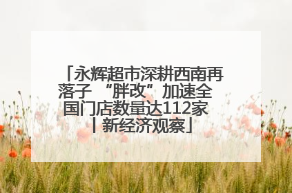永辉超市深耕西南再落子 “胖改”加速全国门店数量达112家丨新经济观察