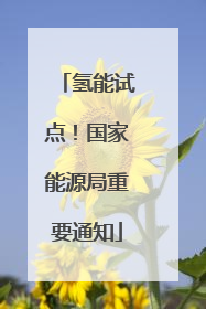 氢能试点！国家能源局重要通知