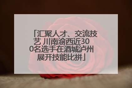 汇聚人才、交流技艺 川南渝西近300名选手在酒城泸州展开技能比拼