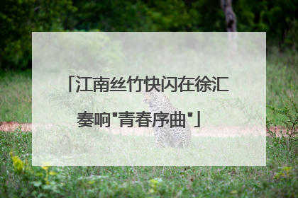 江南丝竹快闪在徐汇奏响