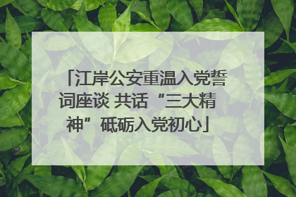 江岸公安重温入党誓词座谈 共话“三大精神”砥砺入党初心