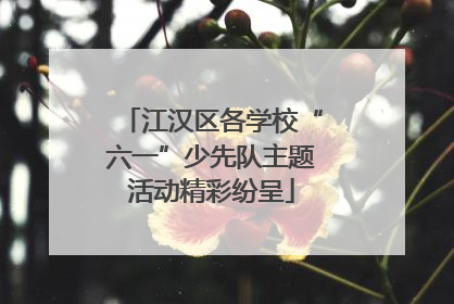 江汉区各学校“六一”少先队主题活动精彩纷呈