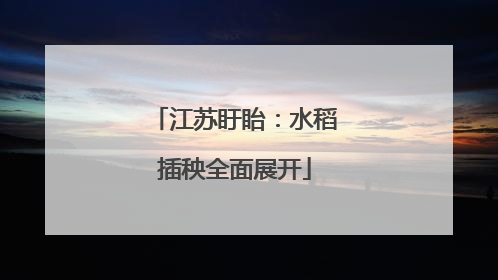 江苏盱眙：水稻插秧全面展开
