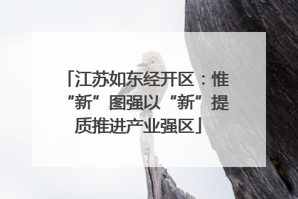 江苏如东经开区：惟“新”图强以“新”提质推进产业强区