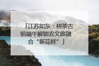 江苏如东：栟茶古镇端午解锁农文旅融合“新花样”