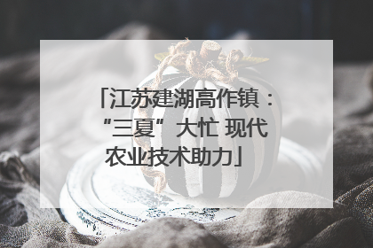 江苏建湖高作镇：“三夏”大忙 现代农业技术助力