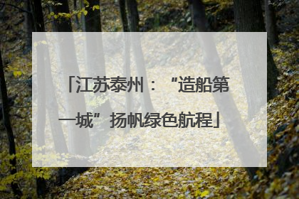 江苏泰州：“造船第一城”扬帆绿色航程