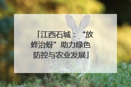 江西石城：“放蜂治蚜”助力绿色防控与农业发展