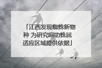 江西发现蜘蛛新物种 为研究呵叻蛛属适应区域提供依据