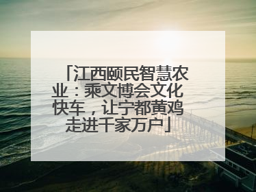 江西颐民智慧农业：乘文博会文化快车，让宁都黄鸡走进千家万户